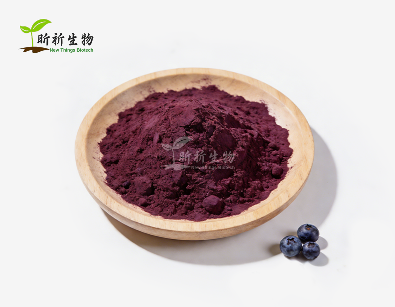 Organic Blueberry Extract Powder